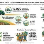 Harvest of Hope: Tinubu’s Agricultural Reforms Target Food Security, Jobs, and Growth